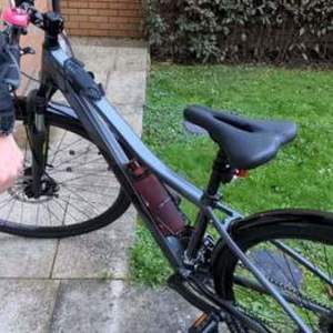 2020 Trek Dual sport 1 Silver, gray or bare metal