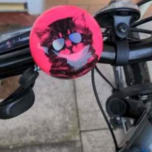 2020 Trek Dual sport 1 Silver, gray or bare metal