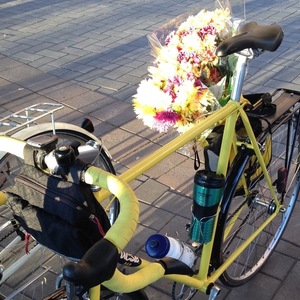 Mercian Cycles Yellow or Gold