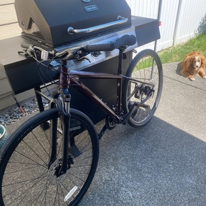 2019 Cannondale Althea Red