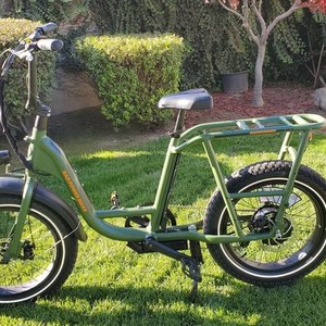 2020 Rad Power Bikes RadRunner 1 Green