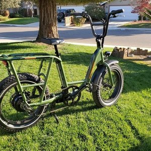 2020 Rad Power Bikes RadRunner 1 Green