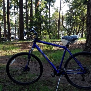 2006 Raleigh Passage 5.0 Blue