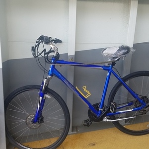 2006 Raleigh Passage 5.0 Blue