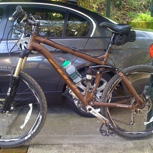 2009 Fuji Reveal 2.0 Brown