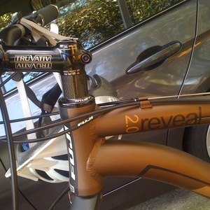 2009 Fuji Reveal 2.0 Brown