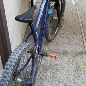 2020 Commencal Bikes Meta HT AM Essential Blue and Yellow or Gold