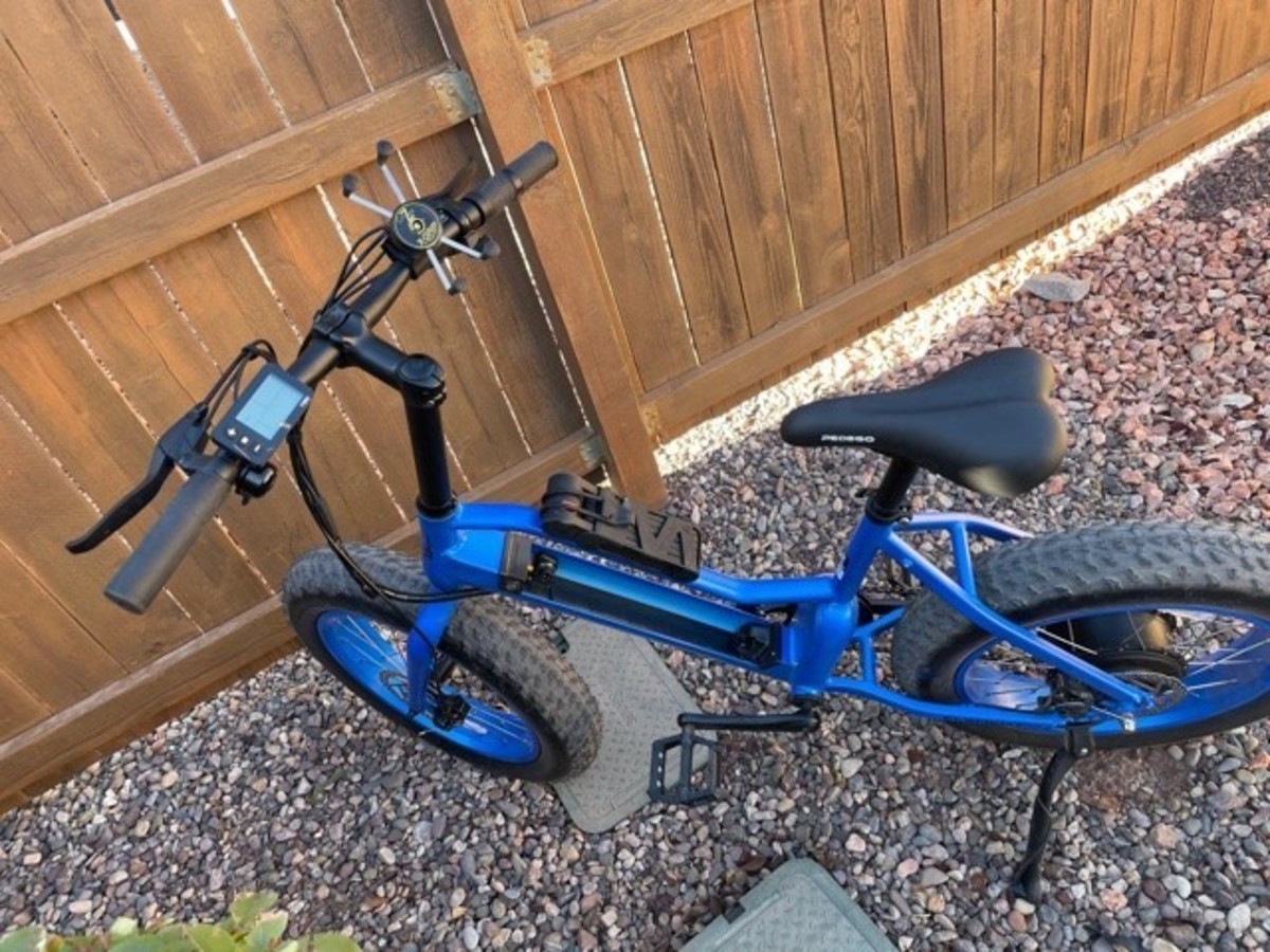 Pedego Element 48V 10Ah