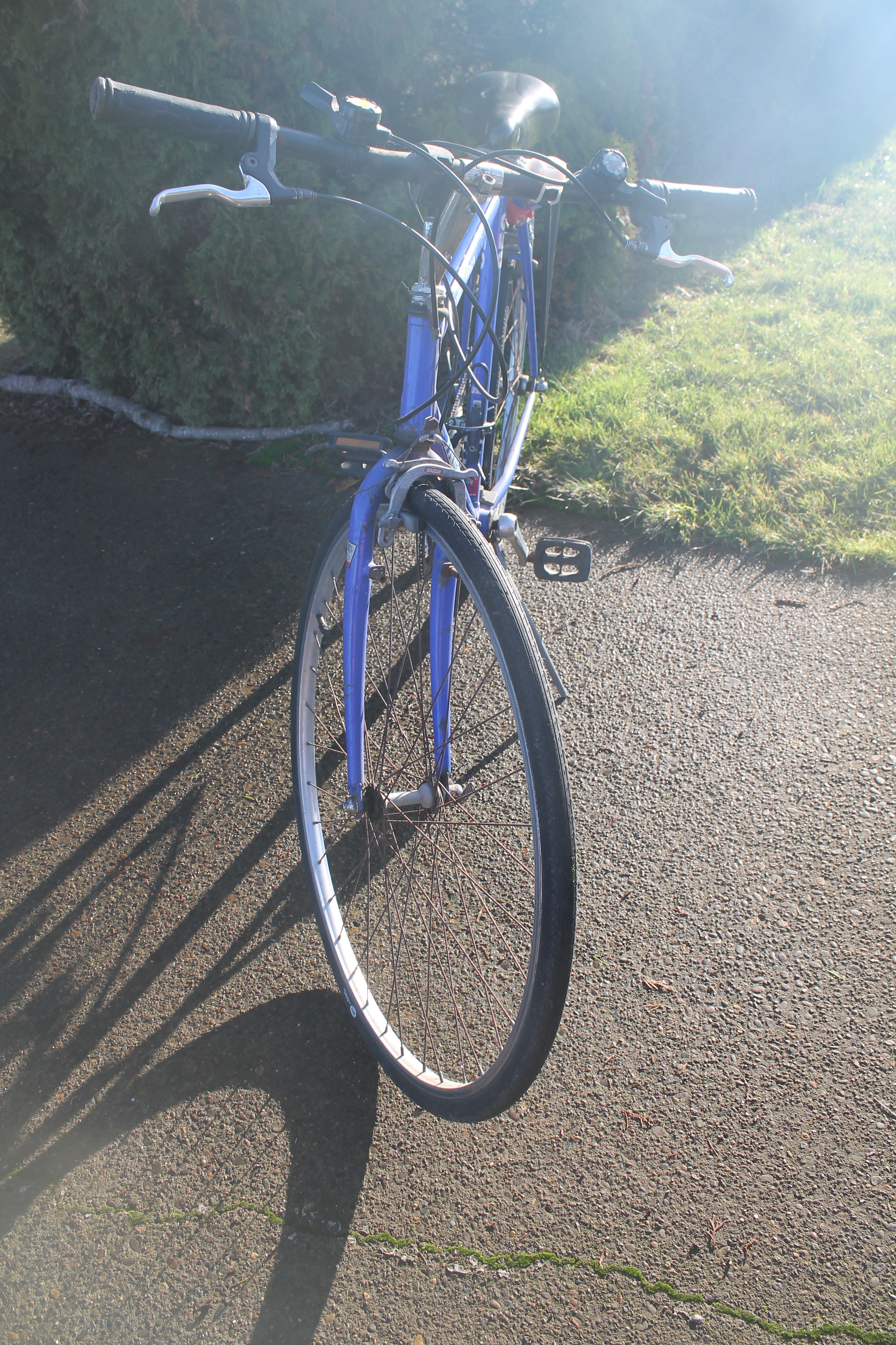 Trek single track 950