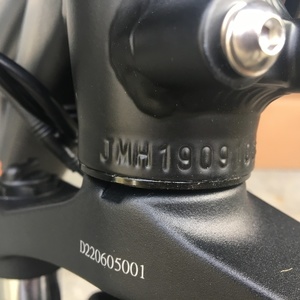 2020 Rad Power Bikes RadRover 5 Black