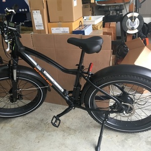 2020 Rad Power Bikes RadRover 5 Black