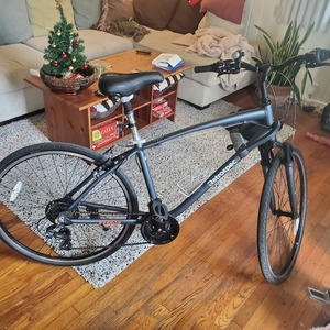 Retrospec Barron Silver, gray or bare metal