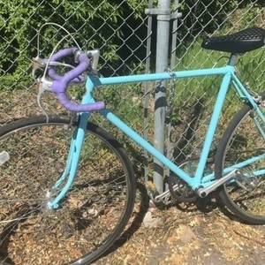 Schwinn Single Speed Road Bike Blue