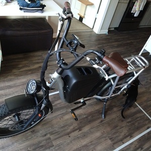 2020 Rad Power Bikes Rad Runner Plus Silver, gray or bare metal