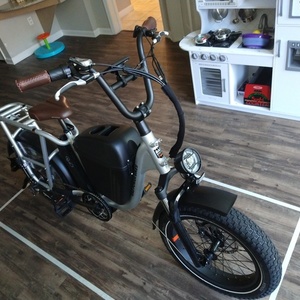 2020 Rad Power Bikes Rad Runner Plus Silver, gray or bare metal