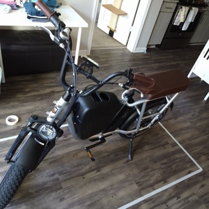 2020 Rad Power Bikes Rad Runner Plus Silver, gray or bare metal