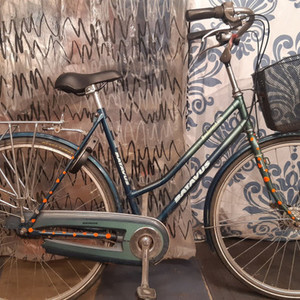 Batavus Boulevard Green