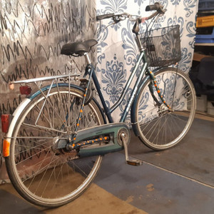 Batavus Boulevard Green