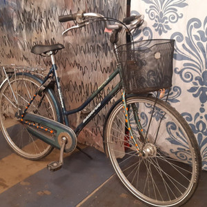 Batavus Boulevard Green