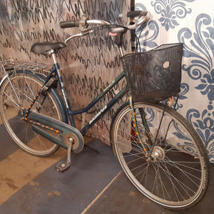 Batavus Boulevard Green