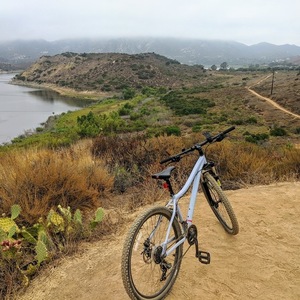 2020 REI DRT 1.1 Silver, gray or bare metal