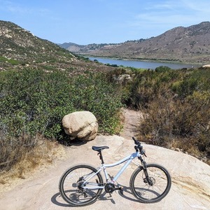 2020 REI DRT 1.1 Silver, gray or bare metal
