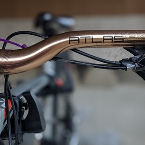 2020 Giant Roam Silver, gray or bare metal