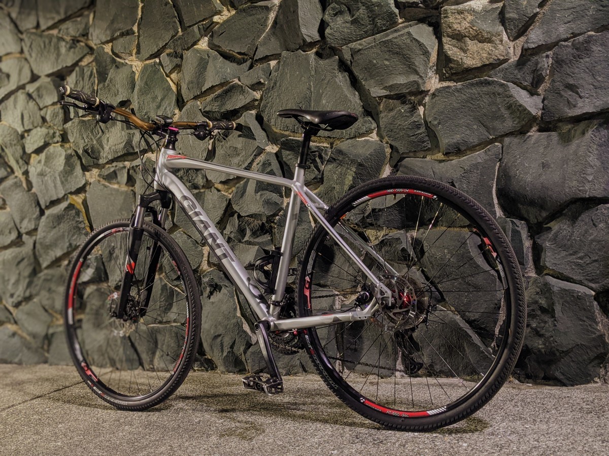 giant roam 2020