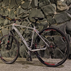 2020 Giant Roam Silver, gray or bare metal