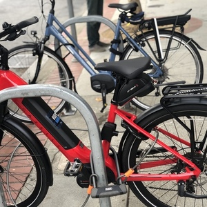 2020 Gazelle Ultimate T10 Red