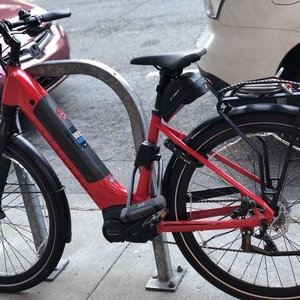 2020 Gazelle Ultimate T10 Red
