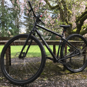 2020 DirtySixer Extra-Tall Custom Frame Black