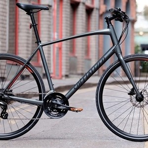 2019 Specialized Sirrus Silver, gray or bare metal