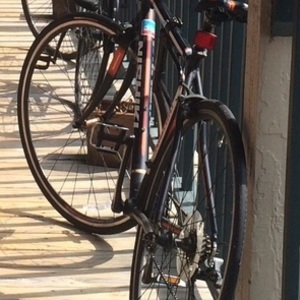 Nishiki Black, Orange, and White