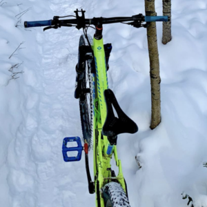 2016 Trek REMEDY 9.8 27.5 17.5 VOLT GREEN 16 Green