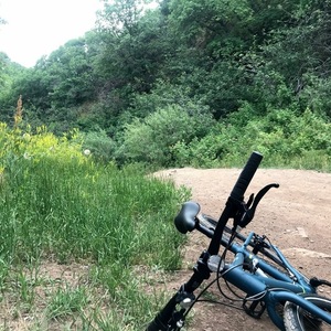 2020 REI CTY 1.1 Bike Blue