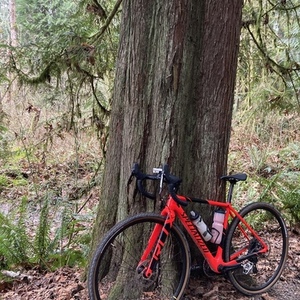 2020 Specialized Crux Red