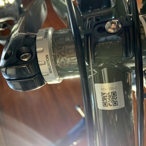 2021 Kona Sutra Green