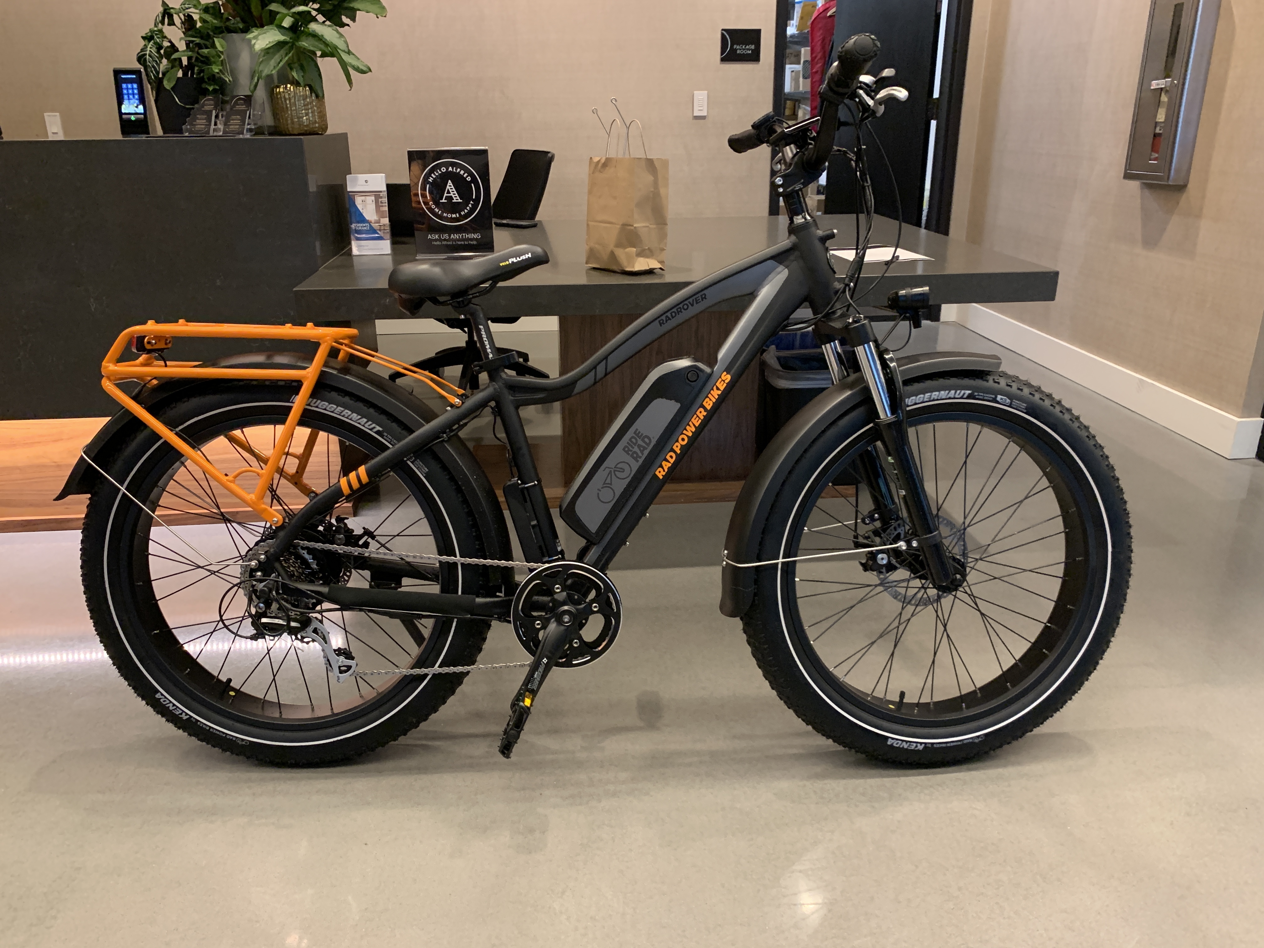 Stolen 2019 Rad Power Bikes RadRover 4