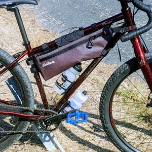 2020 Salsa Fargo Red