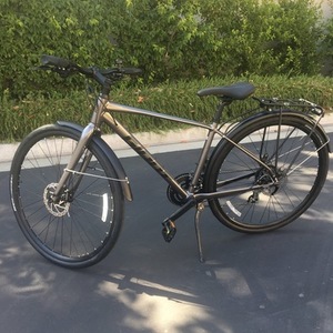 2020 Giant Silver, gray or bare metal