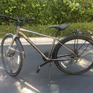 2020 Giant Silver, gray or bare metal