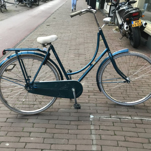 Batavus Old Dutch Green