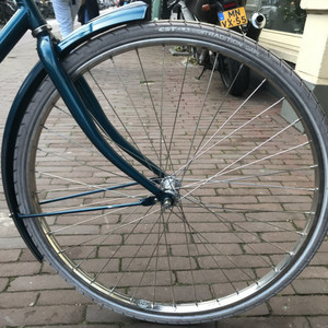 Batavus Old Dutch Green