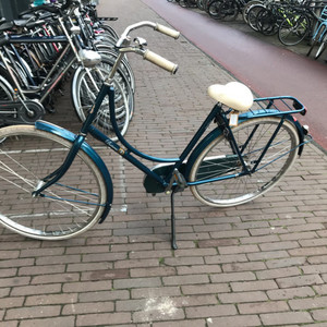 Batavus Old Dutch Green