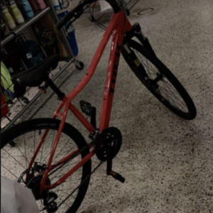 2019 Trek Dual Sport 1 Women's 20 Red