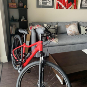 2019 Trek Dual Sport 1 Women's 20 Red