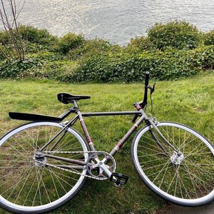 2009 Masi Speciale Fixed LTD Silver, gray or bare metal