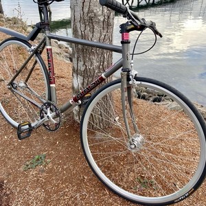 2009 Masi Speciale Fixed LTD Silver, gray or bare metal