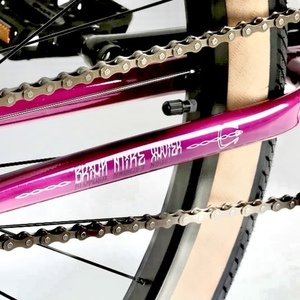 2021 Haro Slo-Ride Purple